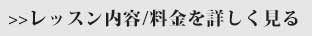 レッスン内容料金